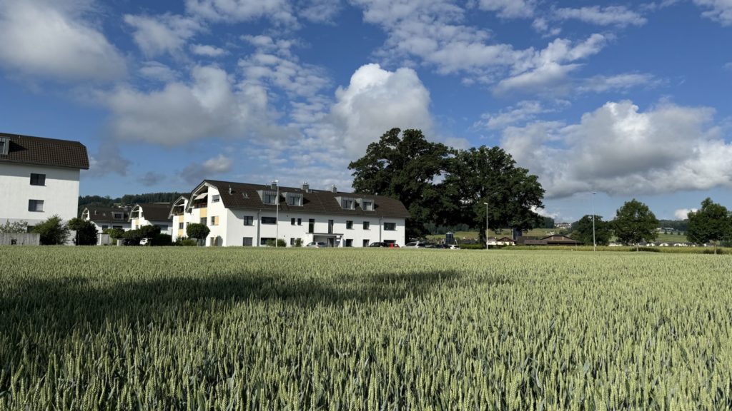 Ankündigung 2.5-Zimmer-Eigentumswohnung in Waltenschwil - Bild 5