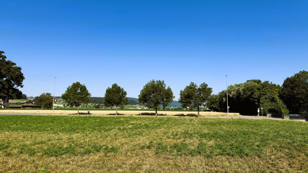 Waltpark - Eigentumswohnungen in Waltenschwil - Waltpark_Umgebung und Aussicht