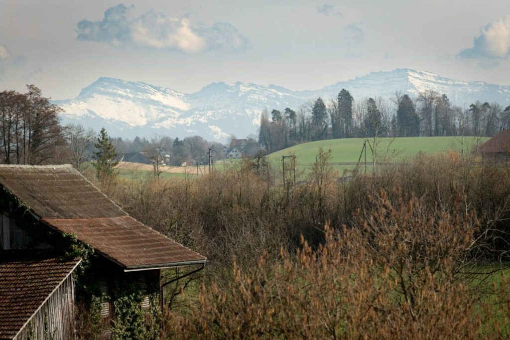 BAUSTART IST ERFOLGT! «Dorf Ottikon»: Freiraum und Wohnauswahl in einzigartigem Ensemble - Bild 10