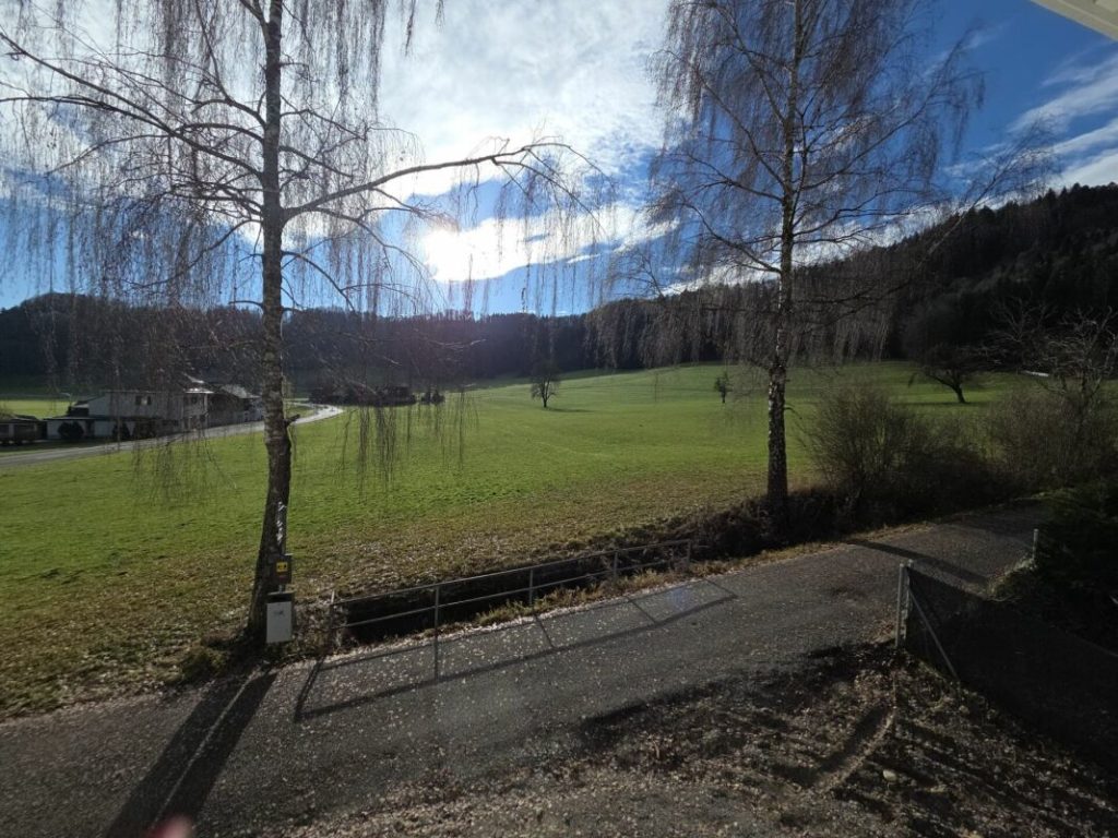 Zu verkaufen in 8362 Itaslen bei Balterswil, neues 5½ Zi.-EFH, an unverbaubarer Lage angrenzend an Landwirtschaftszone, mit Weitsicht auf Wiese ! - Bild 26