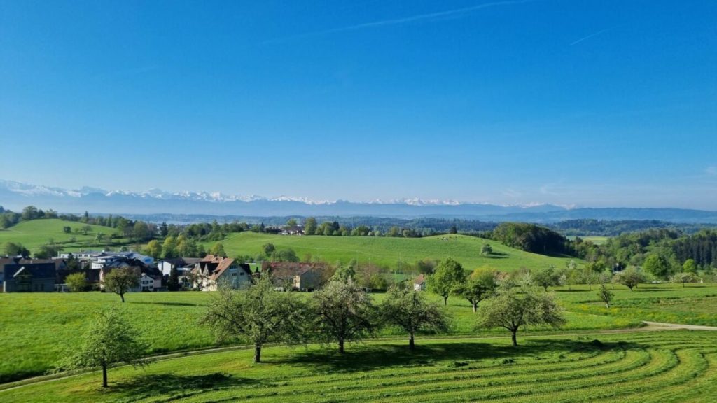 Dachwohnung mit grandiosem Bergpanorama - Bild 1