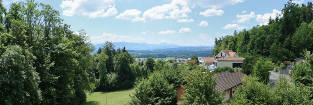 Ihr neues Zuhause mit Rigiblick & Traumterrasse - Bild 1