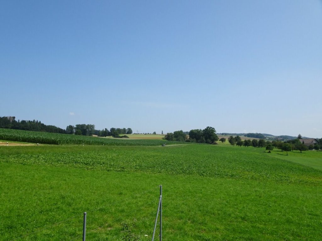 Bestens besonntes Bauland an unverbaubarer Lage - Bild 6