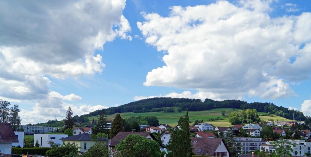 Im Bau: Freistehende Einfamilienhäuser mit Weitblick "EFH D+E" - Bild 2