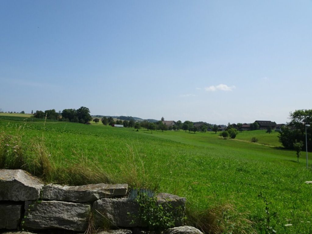 Bestens besonntes Bauland an unverbaubarer Lage - Bild 11