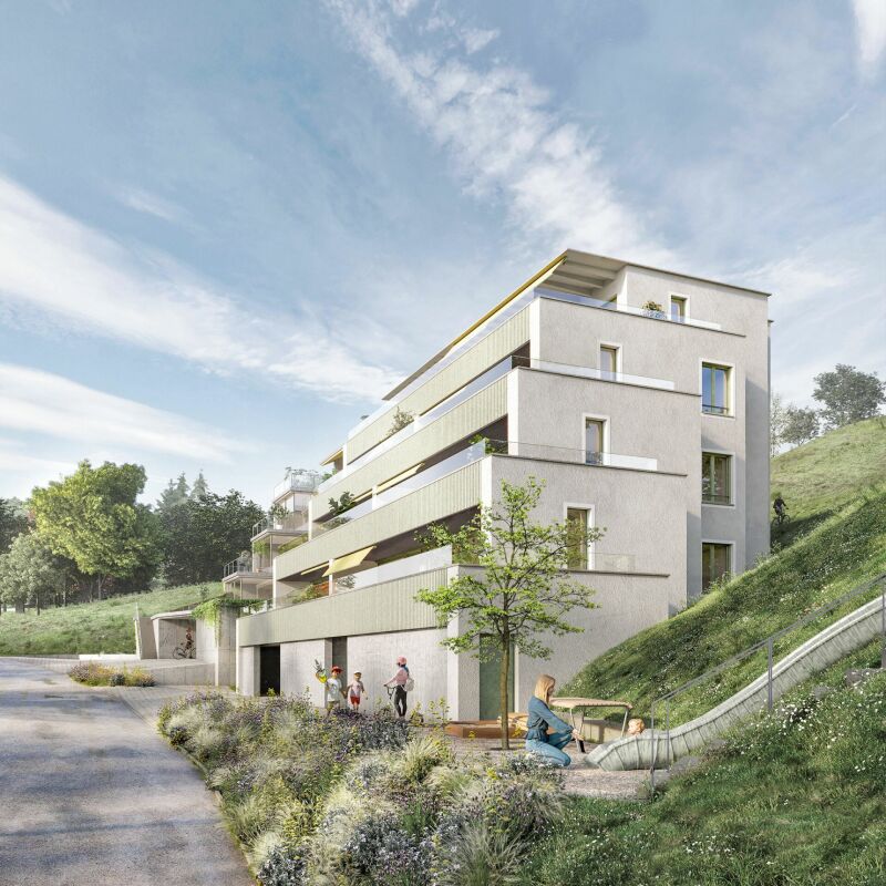 Neubauprojekt Wohnen-Frohburg, Neuhaus SG - Ansicht von Südost