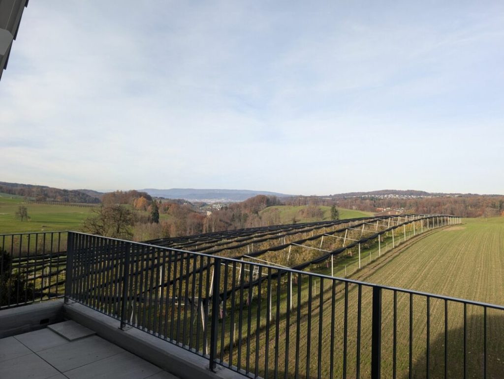 Ihr Rückzugsort im Grünen mit Uetliberg-Panorama - Bild 7