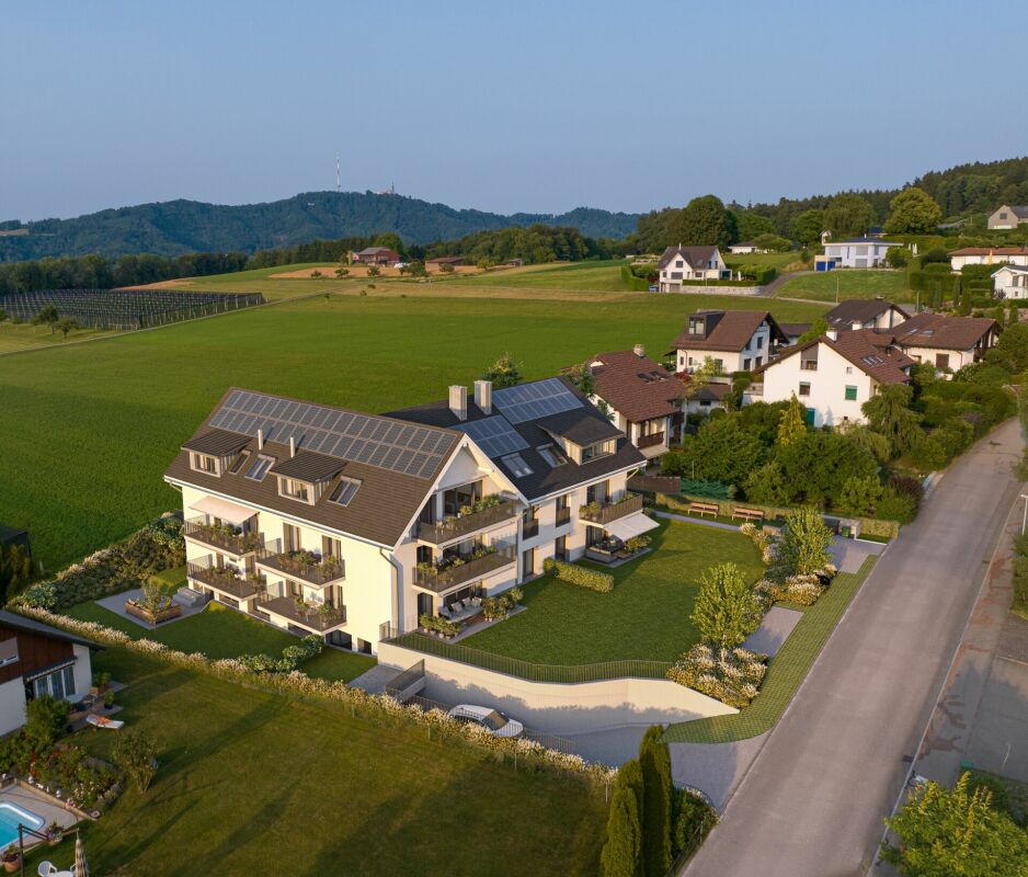 Wohnen mit Blick auf den Uetliberg - Bild 2