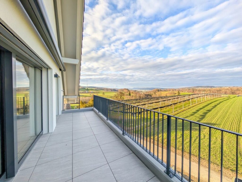 Unverbaubare Sicht in die Landwirtschaftszone und den Uetliberg garantiert! - Bild 9