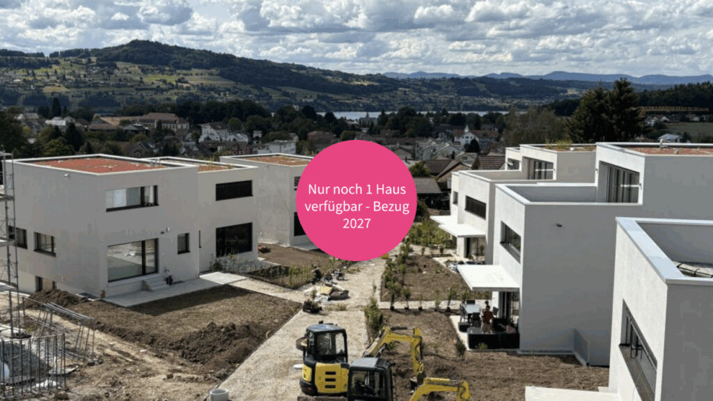 Letzte Gelegenheit - Ihr Zuhause mit Blick zum Hallwilersee - Bild 1