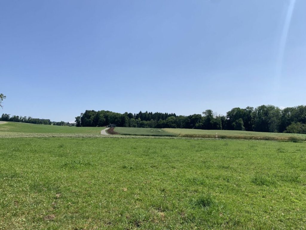 Freistehendes Einfamilienhaus mit Ausblick auf unverbaubare Landwirtschaftszone - Bild 2