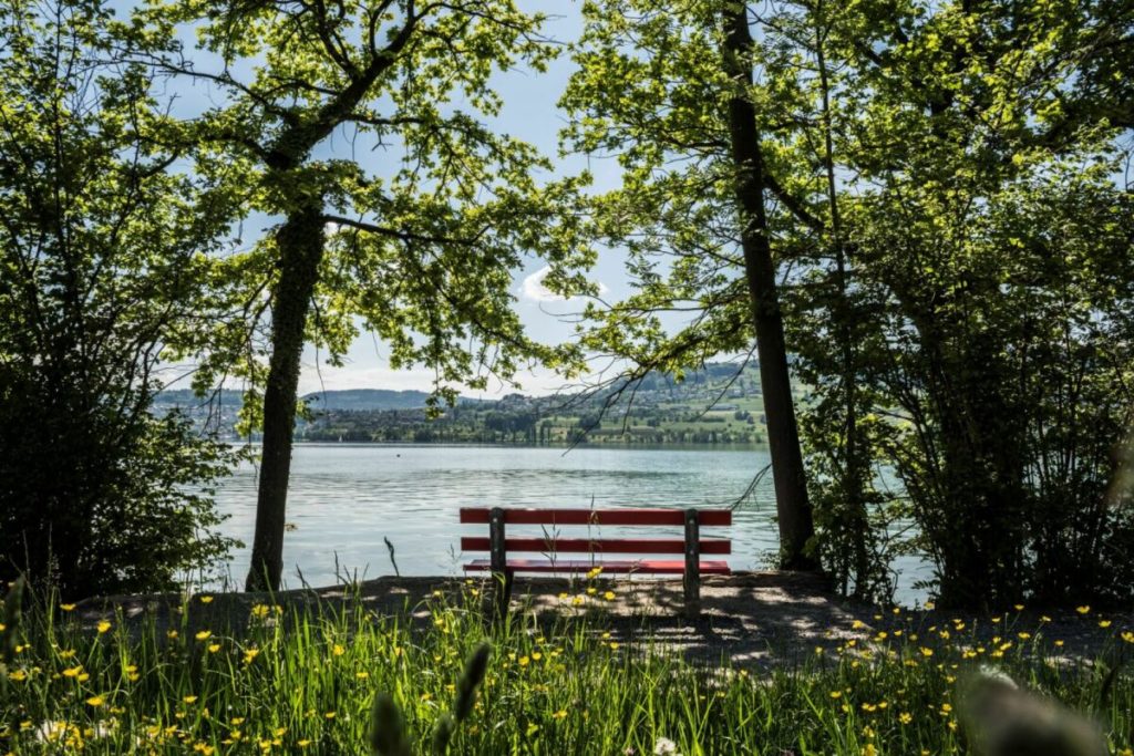 4 Etagen zum Geniessen & Aufblühen - Bild 5