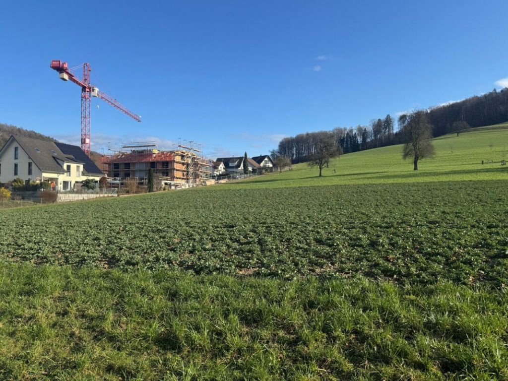 Steuergünstig Wohnen in Weiach: 4.5-Zimmer-Neubauwohnung - Bild 2