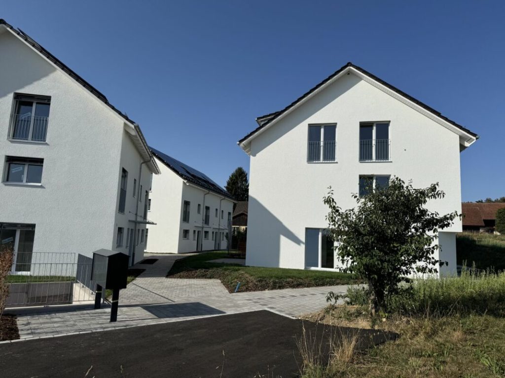 Alpenblick Wetzikon TG - Bild 3