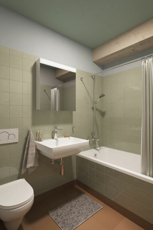 Aeschbachquartier Aarau - Hallenhaus: Grosszügiges Studio - Bild 6