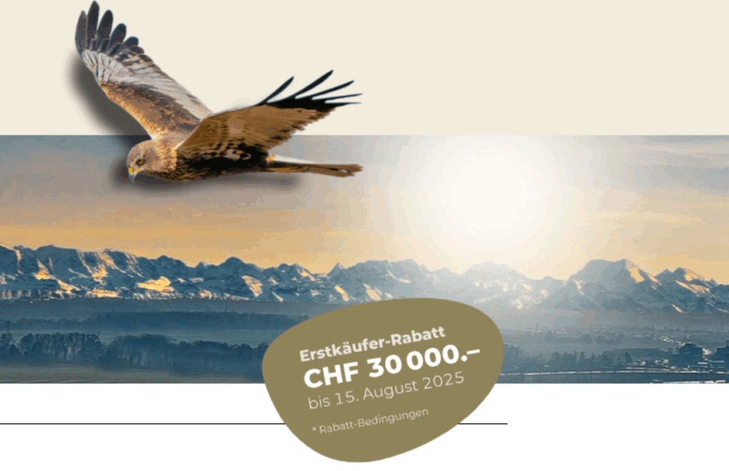 Vogelherd Oensingen W 3 - 4.5 Zimmerwohnung - Bild 1