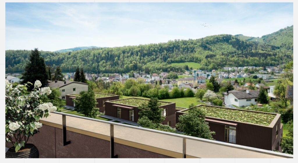 Am Düriberg Trimbach - Wohnen mit besten Aussichten - Bild 1